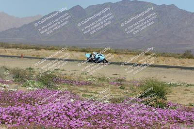 media/Feb-04-2023-SoCal Trackdays (Sat) [[8a776bf2c3]]/Turn 15 Inside Blooming (1050am)/